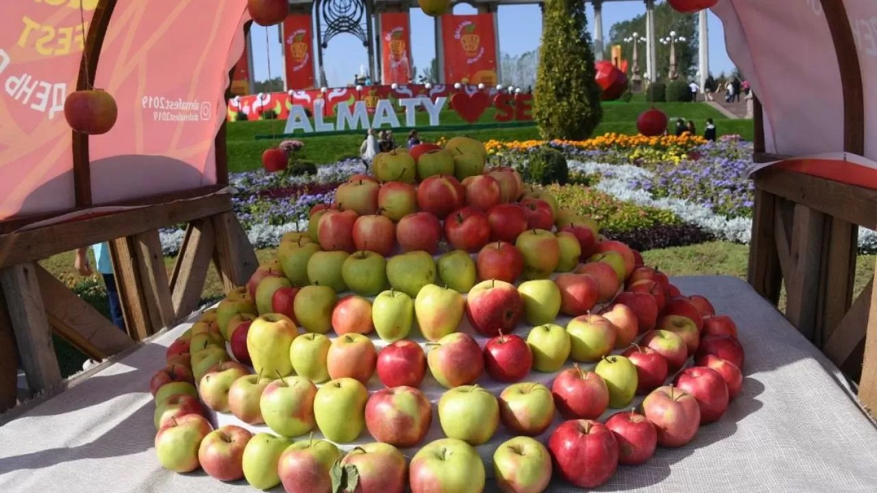Алматыда 100 тонна алма ұсынылатын Alma Fest-2025 өтеді