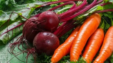 Почему Кыргызстан развернул партию овощей из Казахстана