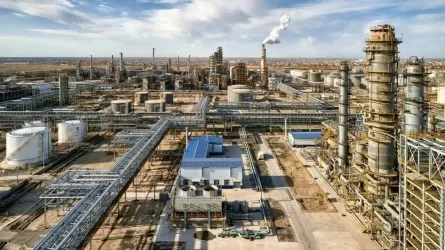 Елімізде жаңа мұнай өңдеу зауытын салу мәселесі талқыланды
