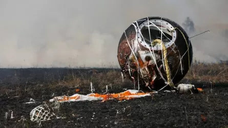 Почему часть грызунов, побывавших в космосе, погибла 