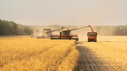 Шаруалар биыл да астық өткізе алмай сарсаңға түсуі мүмкін