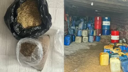 ОПГ сливала дизтопливо с поездов на одной из станций в Казахстане 