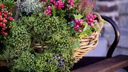 3 сентября: какие праздники отмечаются в Казахстане и мире 