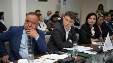 Партия "Ауыл" поддержала парламентскую реформу