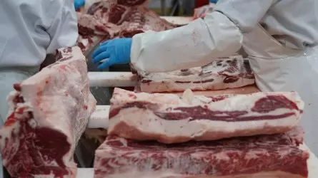Елімізде сиыр еті экспортына квота енгізіледі
