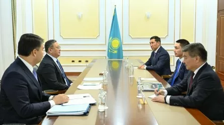 На фоне слухов о задержании Мурат Нуртлеу провел встречу в МИДе