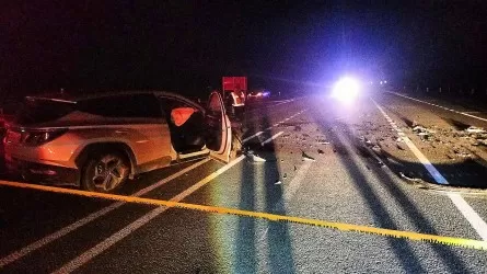 Десятки человек погибли на дорогах области Абай 