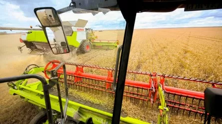 Президент ауыл шаруашылығына цифрлық технологияны тездетіп енгізуді тапсырды