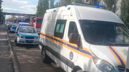 Павлодарда дене шынықтыру сабағы кезінде 7 оқушы зардап шекті