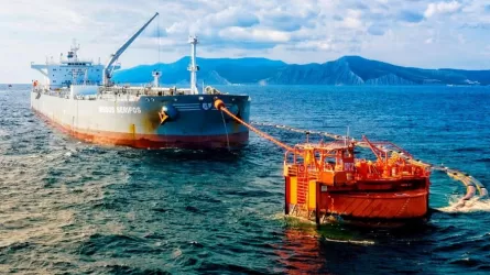 КТК выплатил миллиардный ущерб от утечки нефти в Черном море
