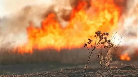Двое суток боролись с масштабным пожаром в горах Ушконыр 