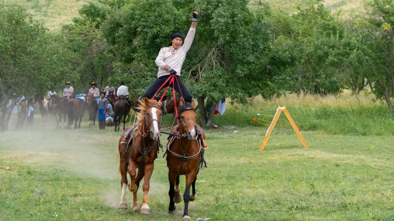 В Казахстане животных признали спортсменами наравне с людьми