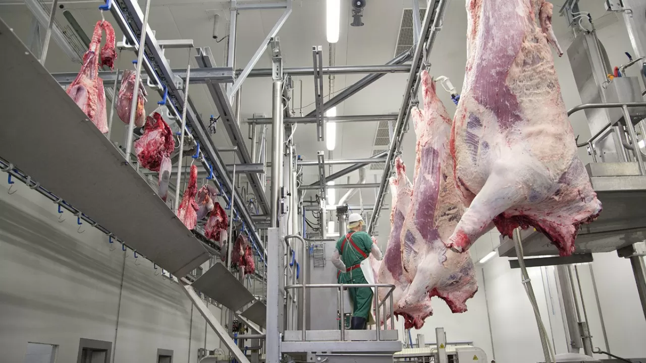 Ауыл шаруашылығы жануарларын союға жаңа талаптар енгізілді