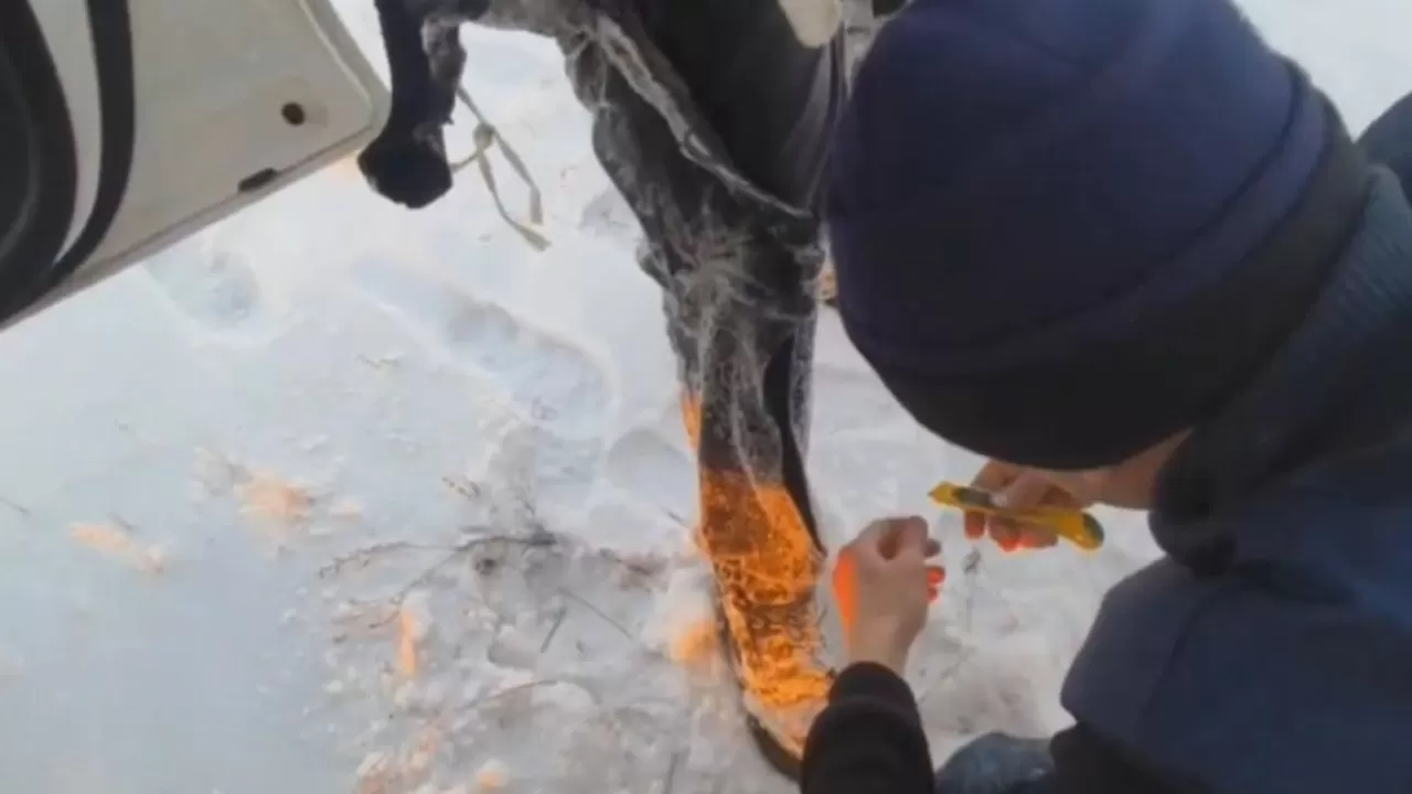 Вырезали из ледяного панциря: в Экибастузе чудом спасли провалившихся в полынью рыбаков