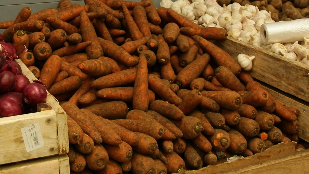 "Келісін 80 теңгеден сатудың өзі қиын": Депутат сәбіз экспортына шектеу қою туралы ұсынысты сынға алды