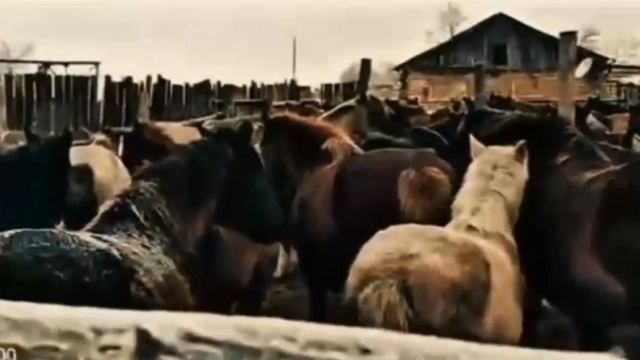 Кражи скота на десятки миллионов тенге пресекли в РК 