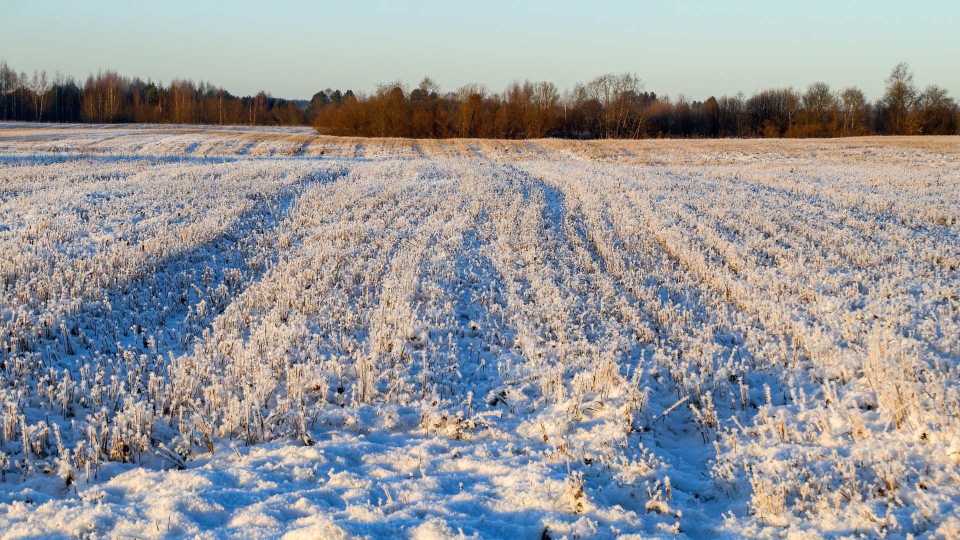 Биыл халыққа 50 сотықтан жер үлестіріледі