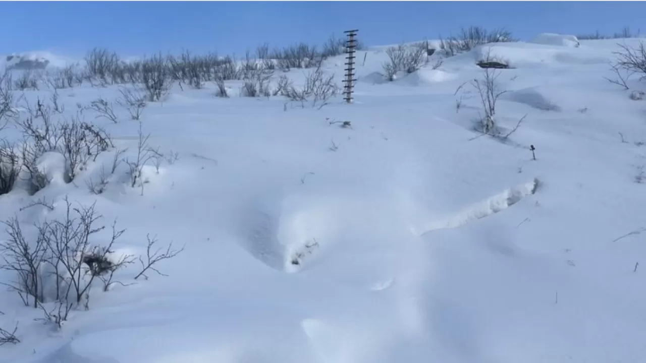 Снежные "козырьки" отсутствуют: лавины пока маловероятны в ВКО 