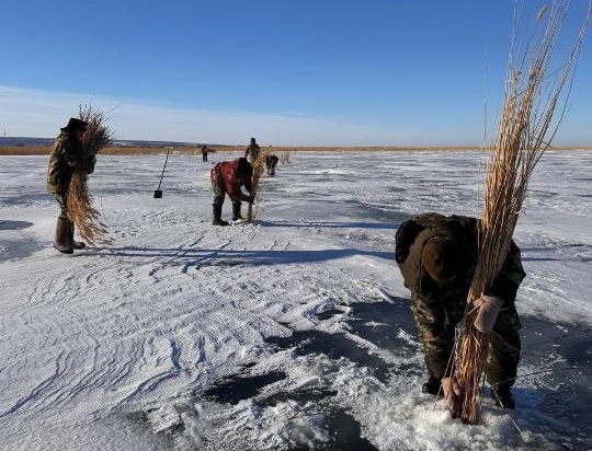 Как в водоемах Казахстана спасают рыбу 