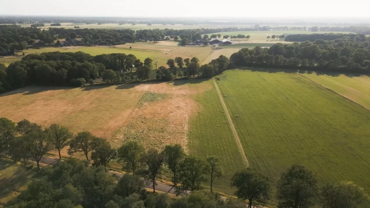 Продажа земли иностранцам: в Сеть просочились фейки о новой Конституции