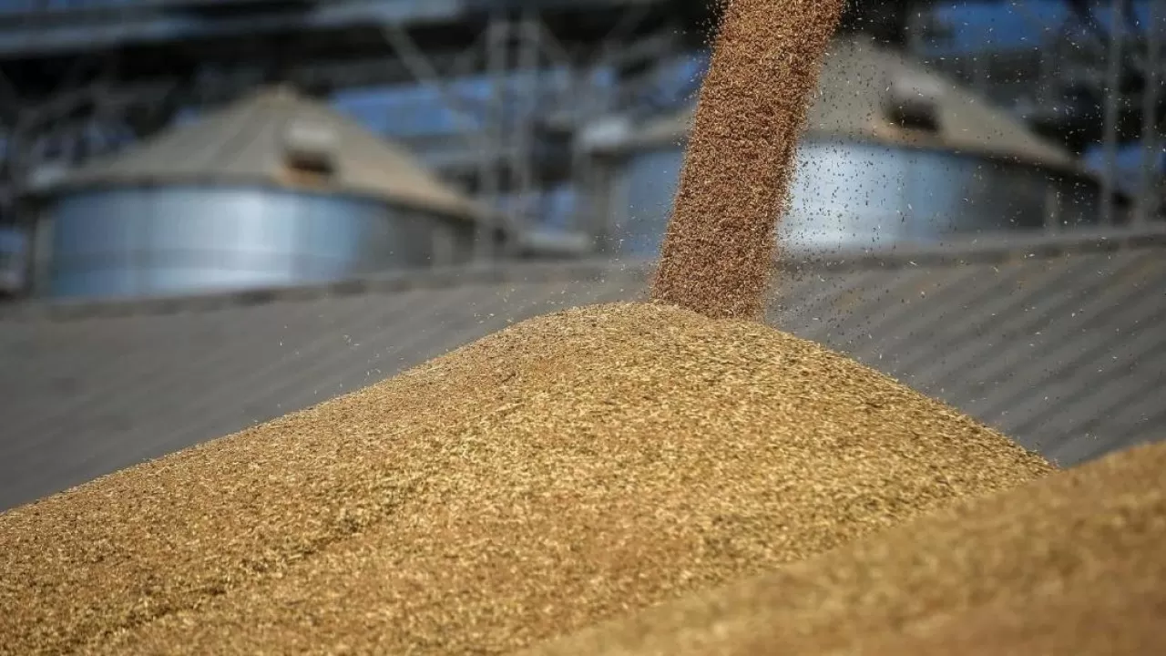 Отгрузка зерна с баз Продкорпорации выросла на четверть в 2025 году 
