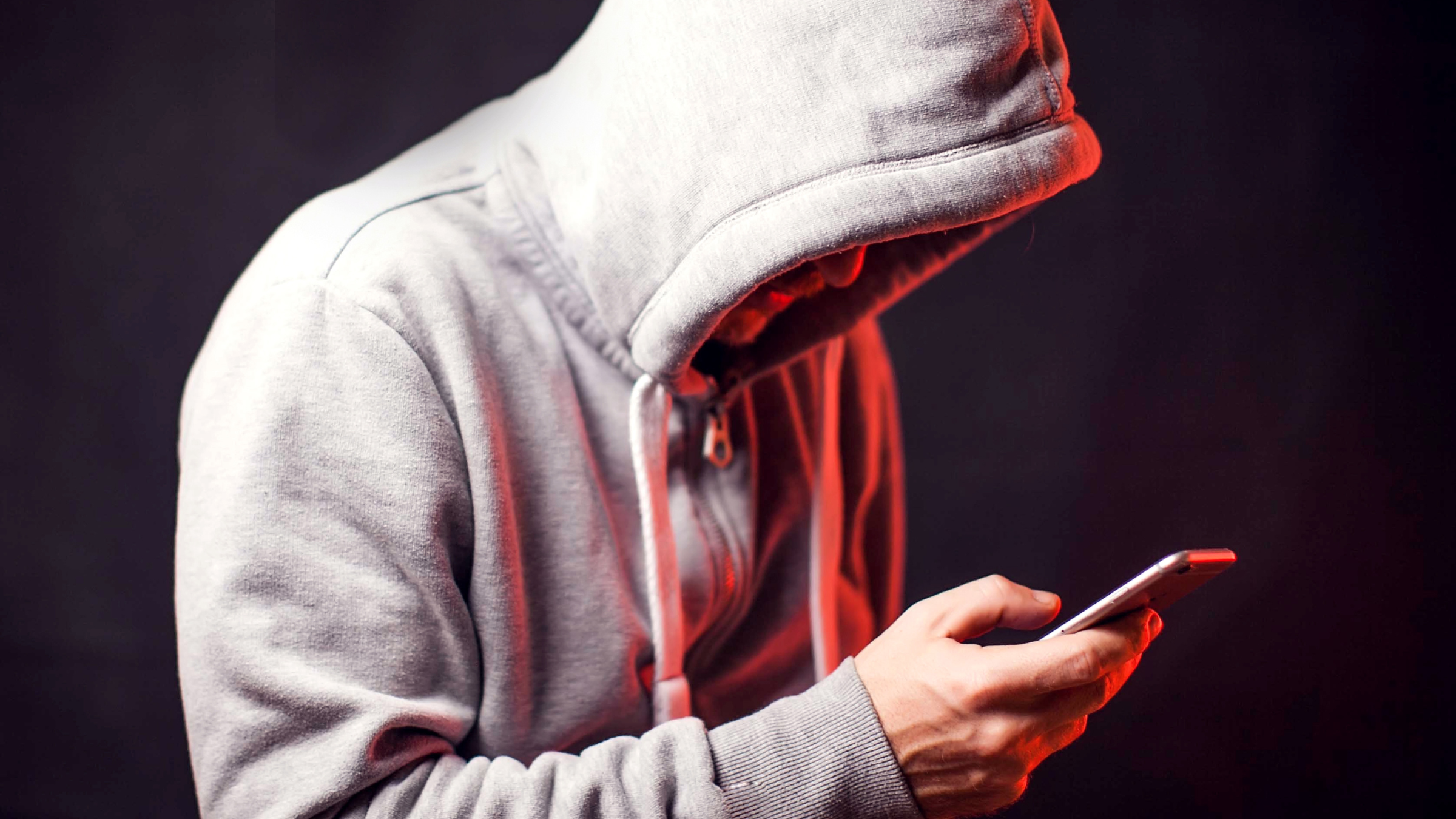 Павлодар облысында интернет-алаяқтық күрт көбейді 