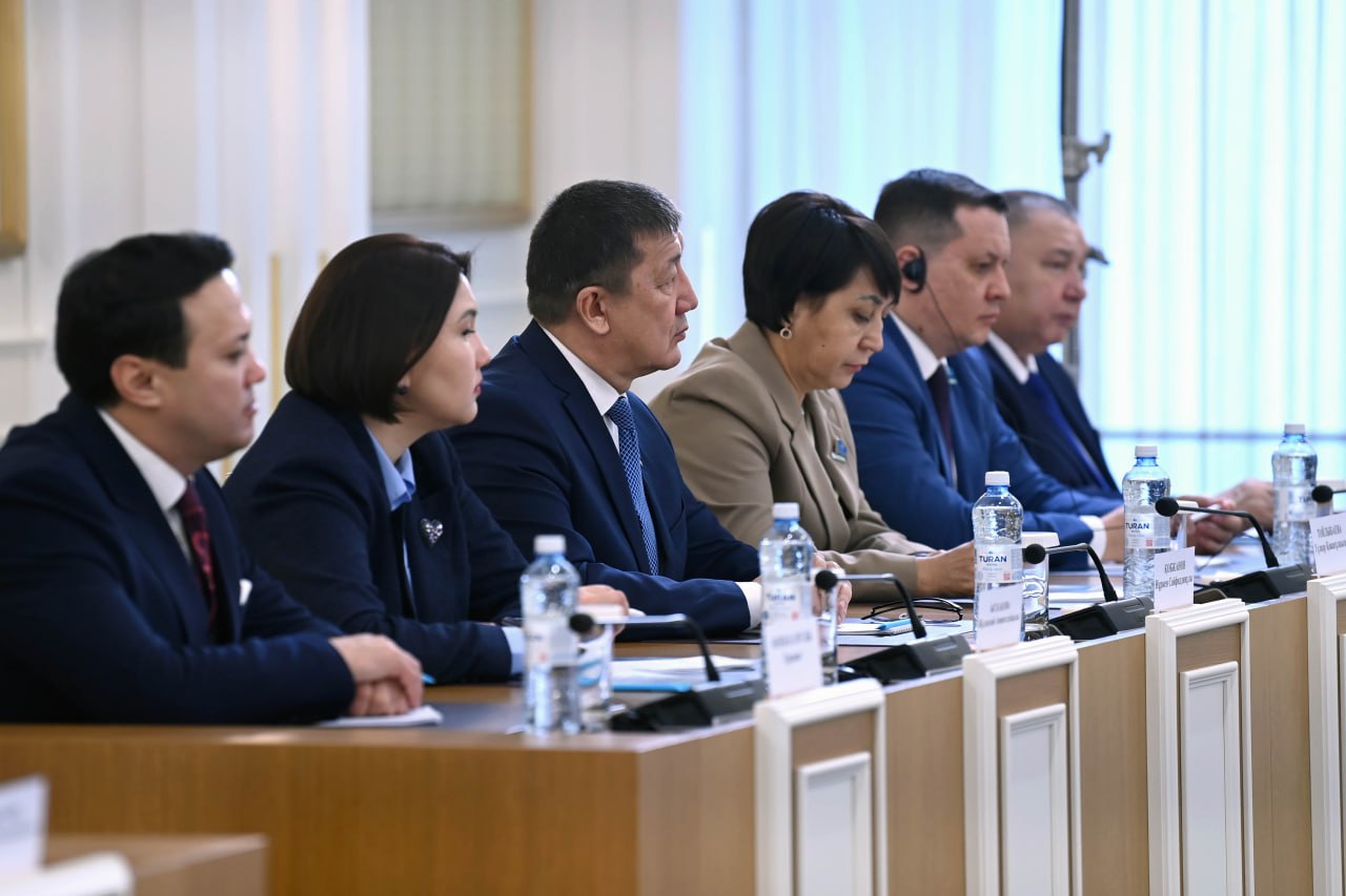 Журналист 2026 жылды "Отбасы жылы" деп жариялауды ұсынды