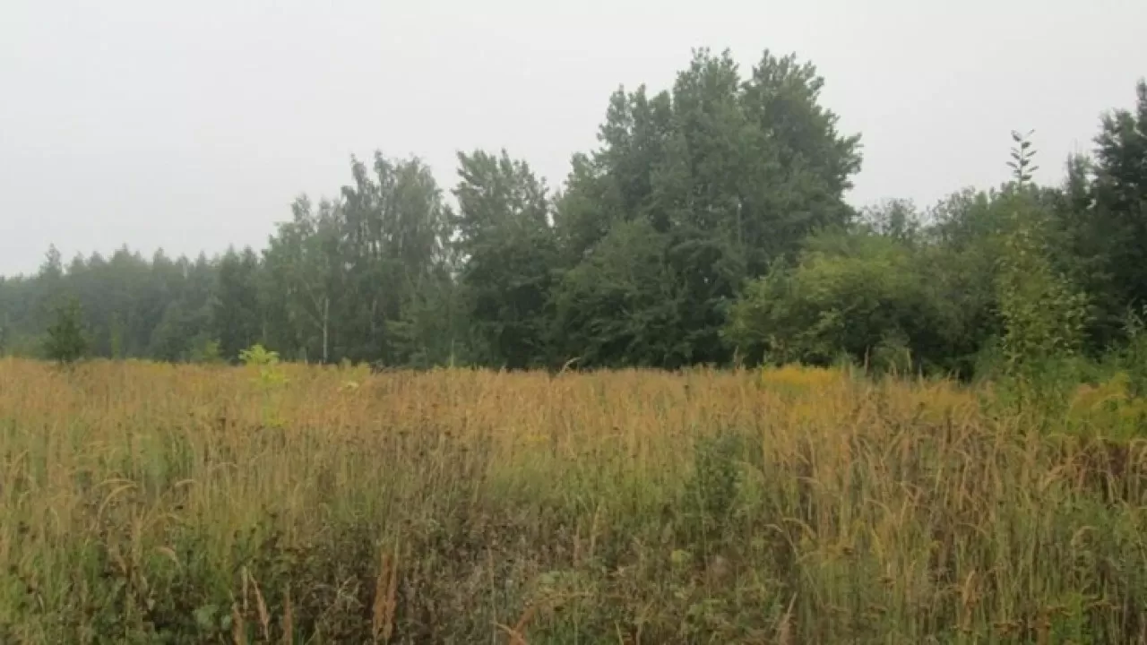 В Казахстане пересмотрели перевод охраняемых территорий в земли запаса