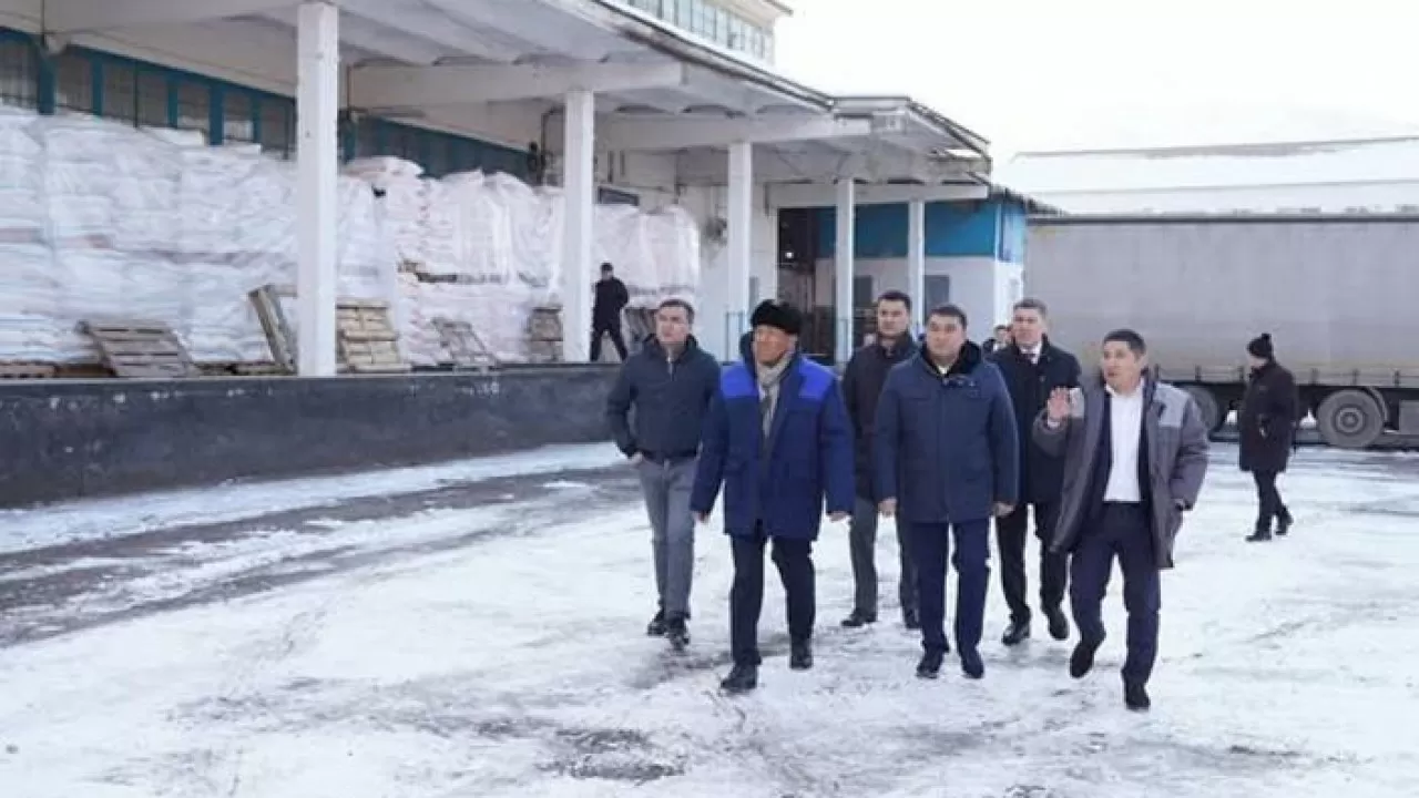 Түркістан облысында бидай өңдейтін заманауи зауыт жаңғыртылып, іске қосылды