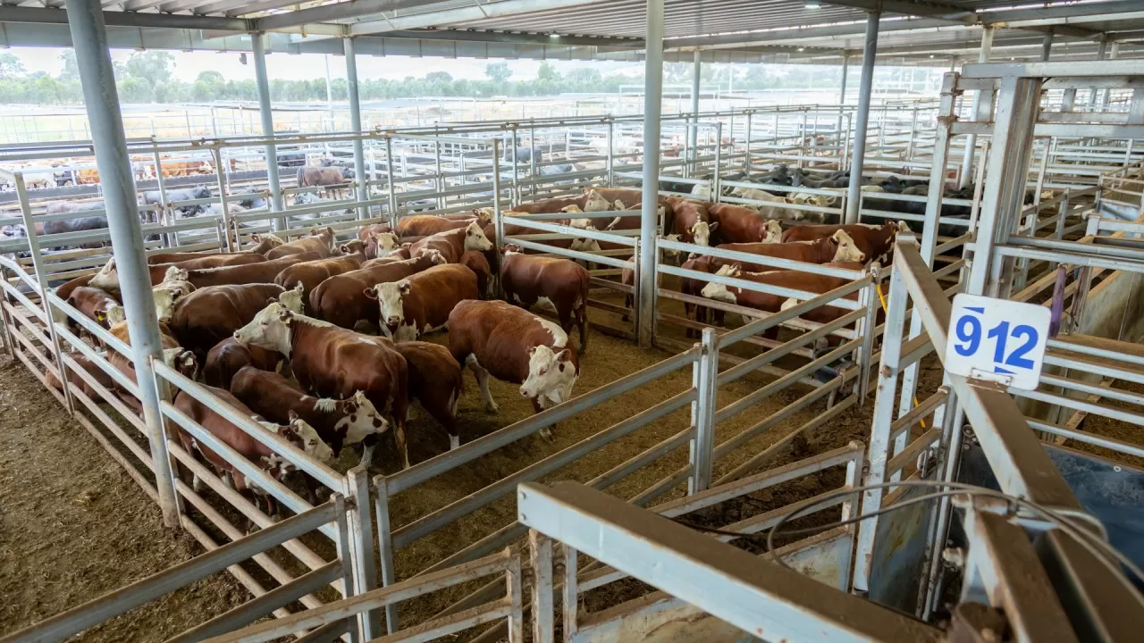 Қазақстанда соңғы 2 жыл ішінде 24 мың шаруа қожалығы жабылды