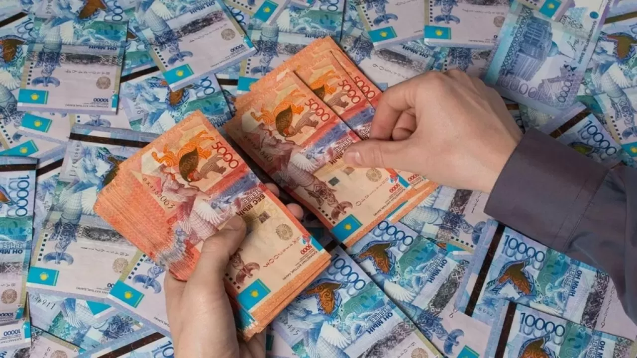 К хищениям бюджетных средств частными школами причастны госорганы - минфин 