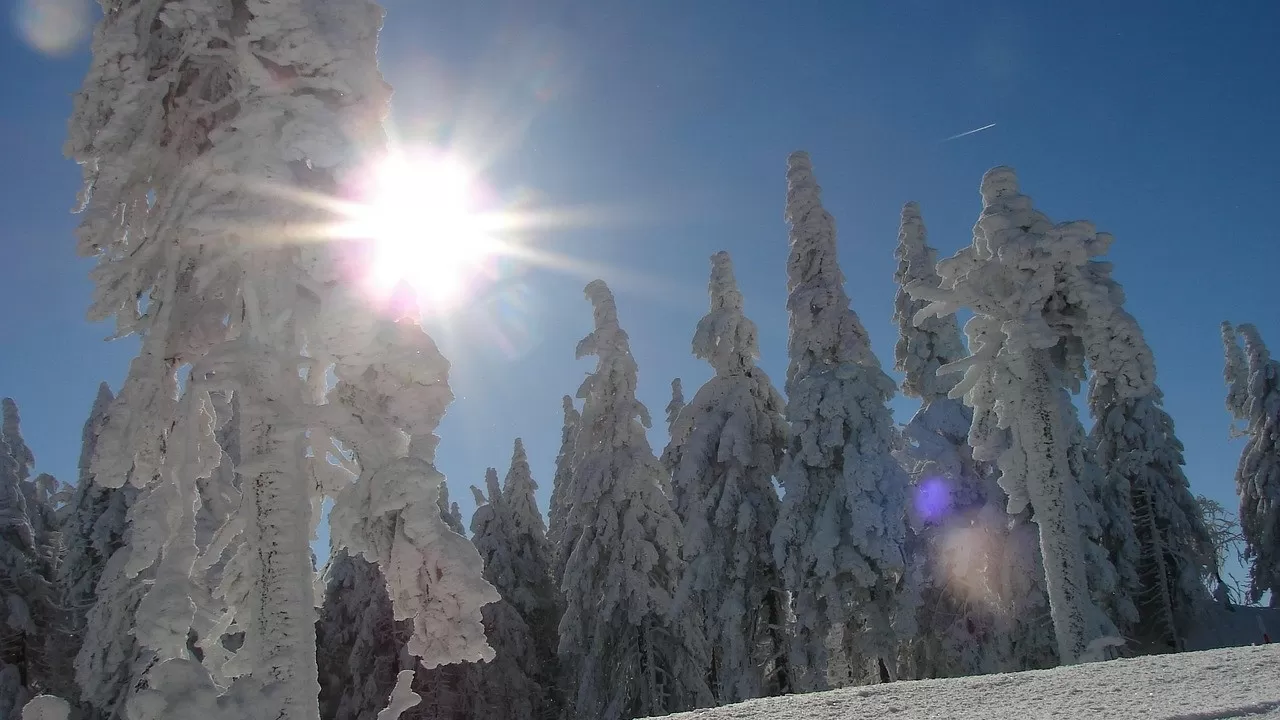21 января у Солнца выстроятся Венера, Марс и Меркурий 