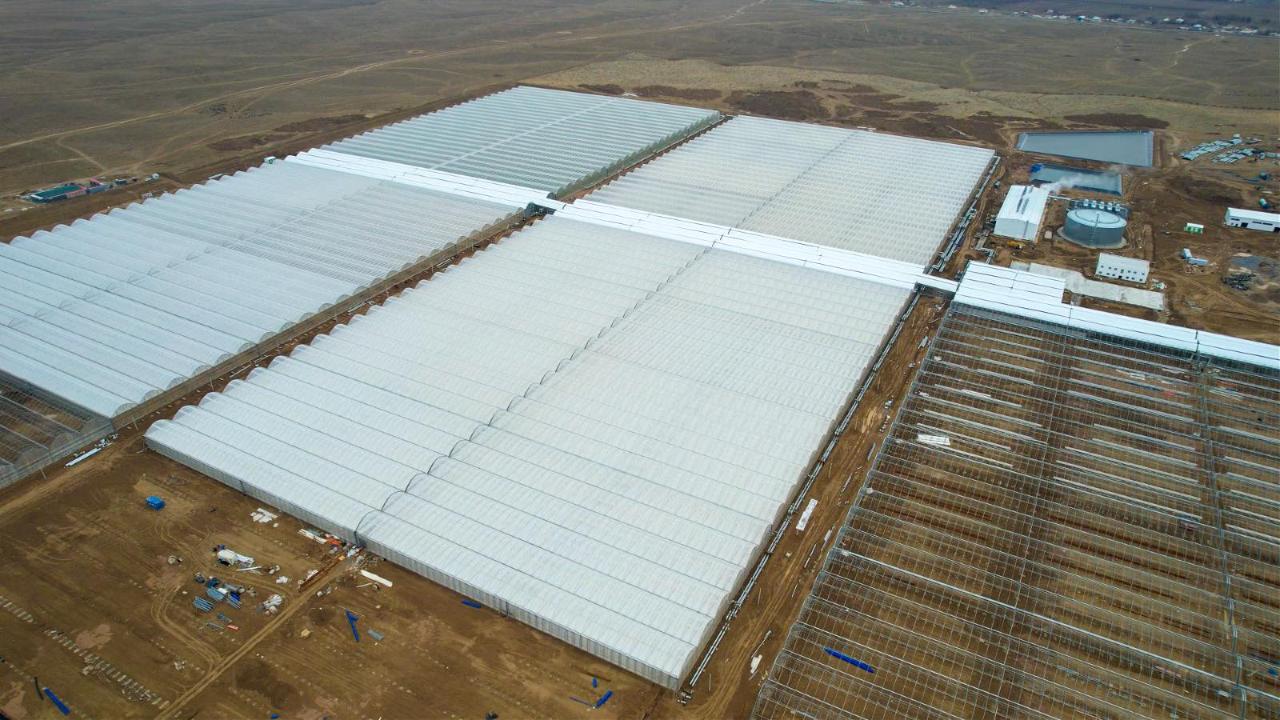 Түркістан облысында еліміздегі ең ірі өнеркәсіптік жылыжай кешені іске қосылады