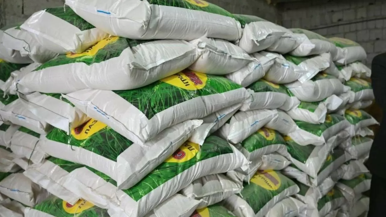 Түркістан облысында күріш өңдеу цехы іске қосылды