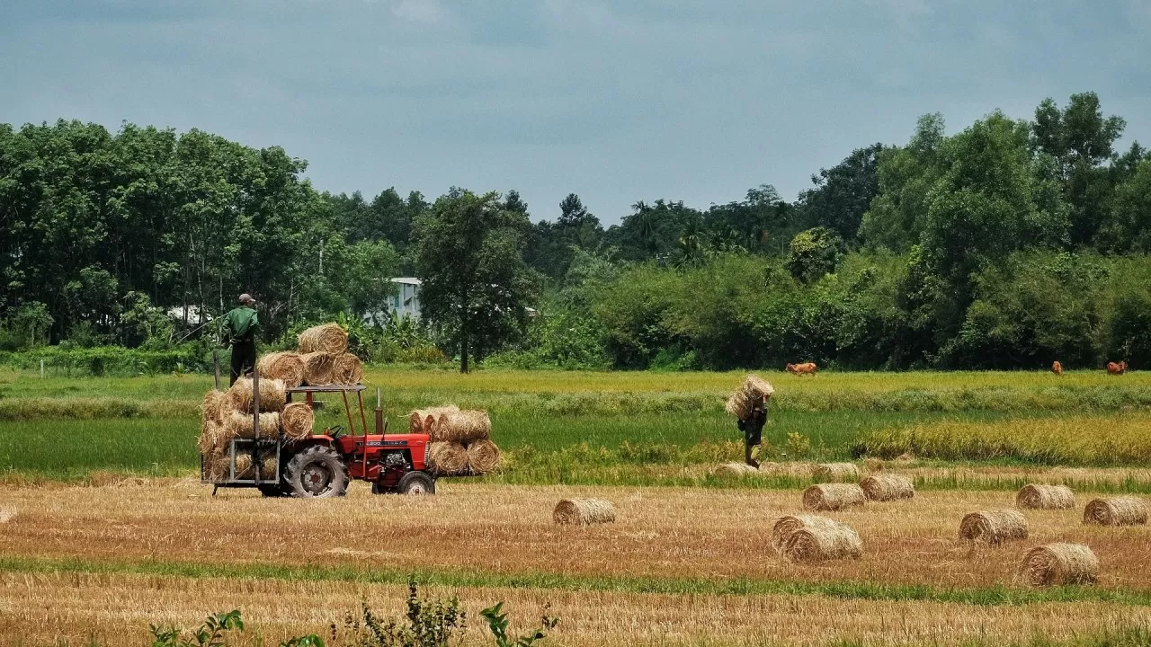 Долг государства перед фермерами достиг 341 млрд тенге 