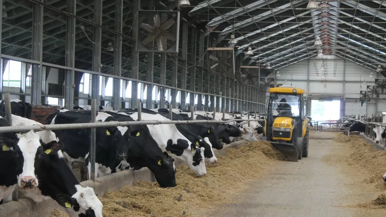 Лизинг агропредприятий опасен для бюджета РК 