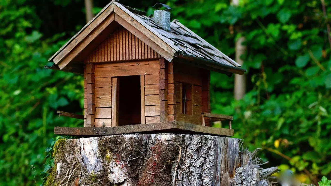 Дела семейные: дочь проиграла спор о завещании отца 