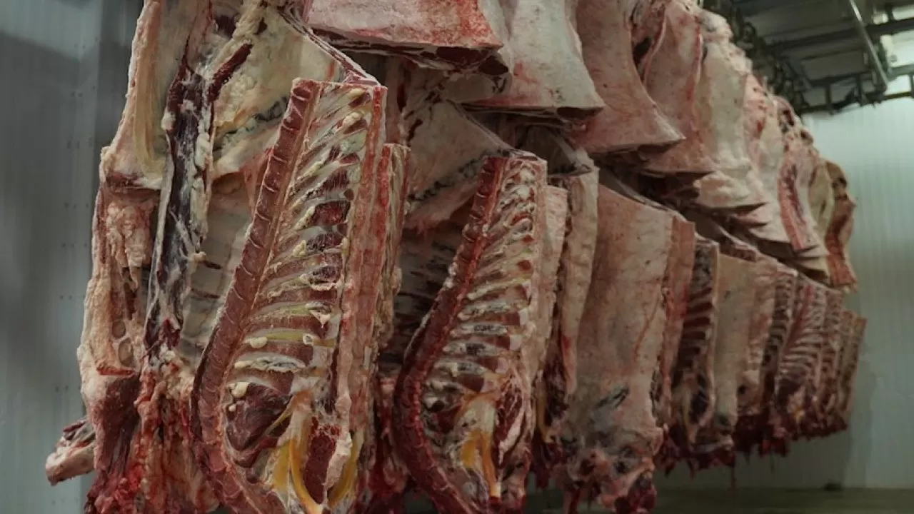 Қазақстанның ет өнімдері БАӘ мен Үндістанға экспортталуға жақын