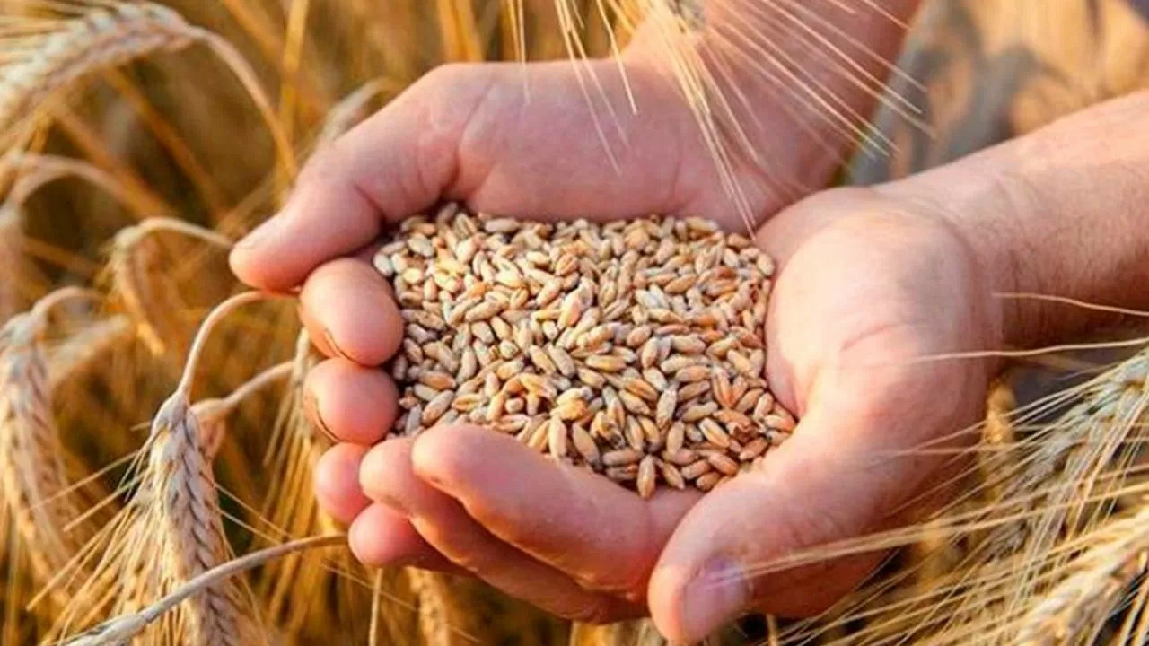 Қытайға ауыл шаруашылығы өнімдерін экспорттау мәселелері талқыланды