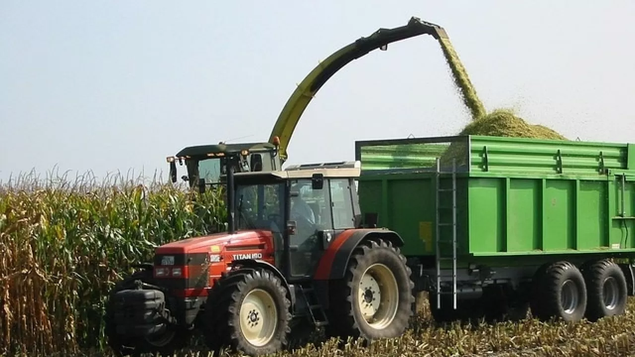 Казахстан расширяет посевы высокомаржинальных культур 