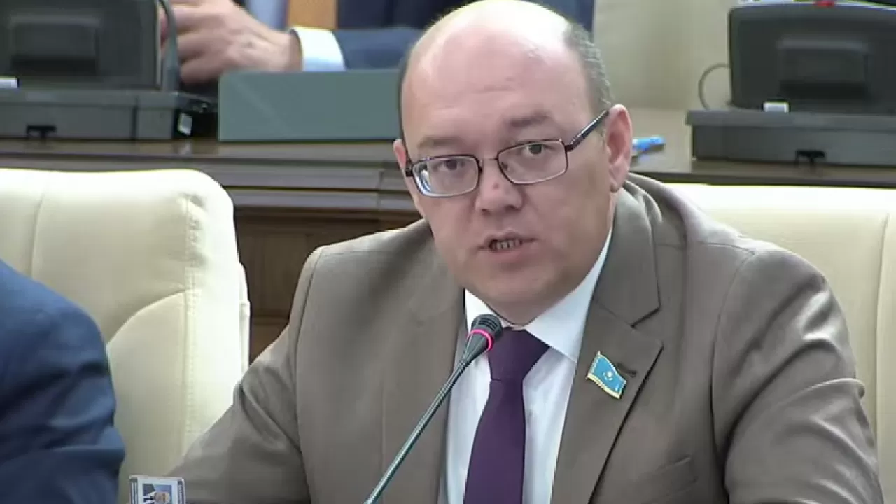 ЖСДП төрағасы: Конституциялық реформа &ndash; бұл қоғамның нақты сұраныстарына жауап