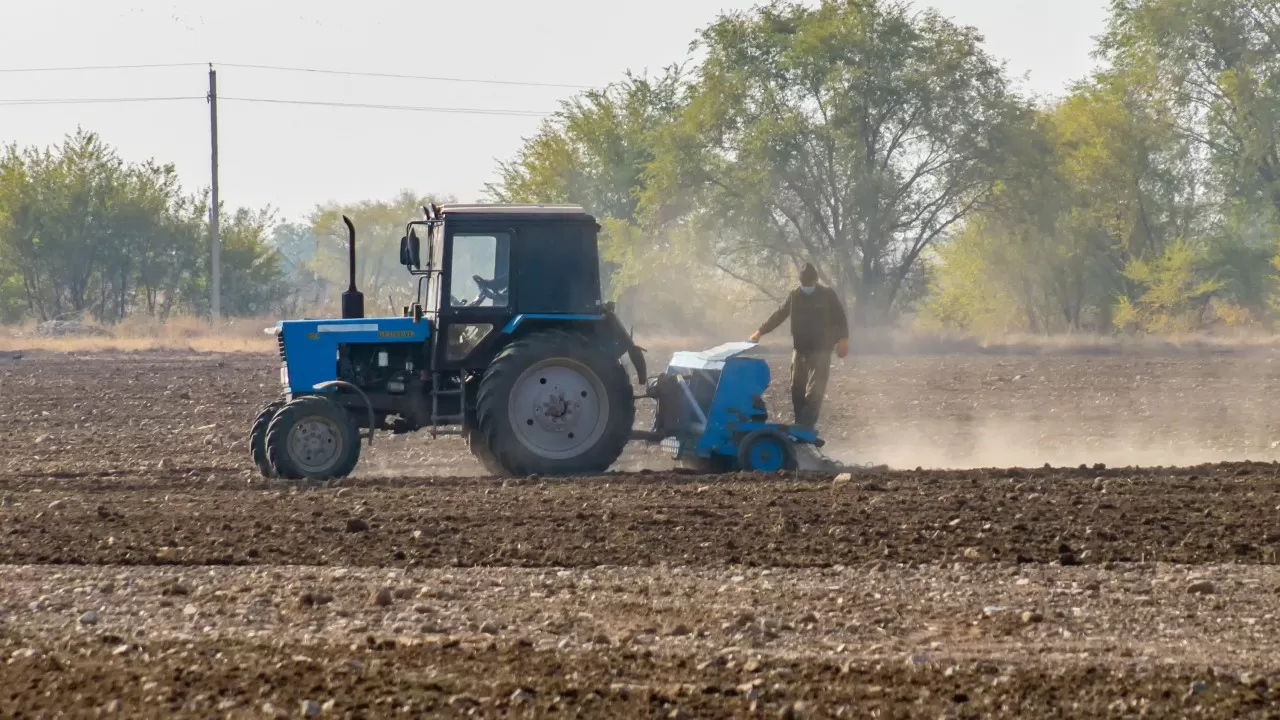 Фермеры Павлодара рискуют потерять урожай при запрете экспорта