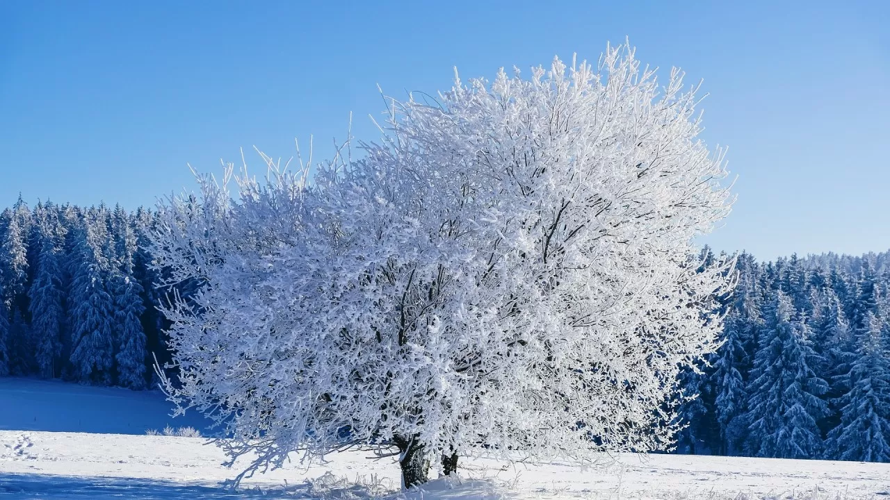 Казахстан накрывает резкое похолодание и метели 