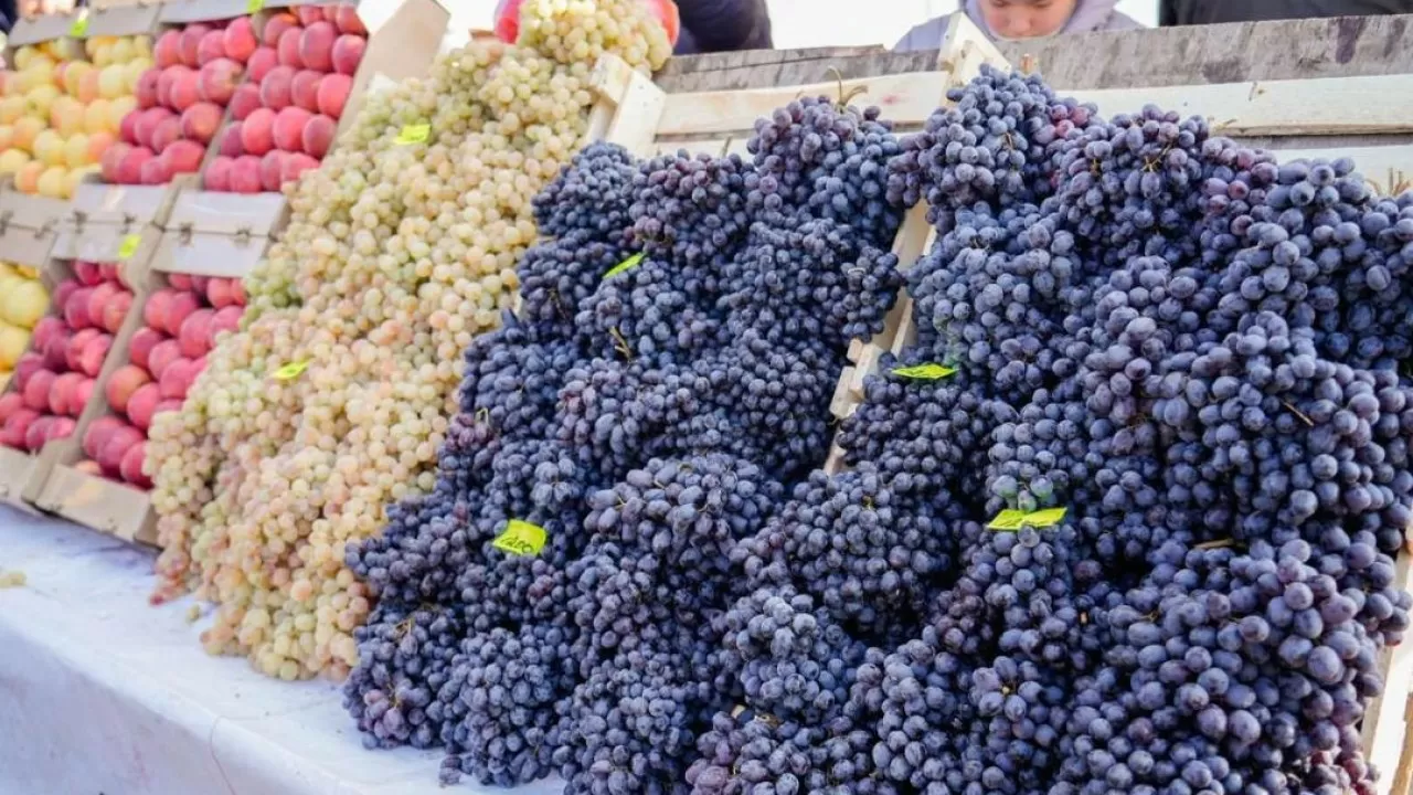 Астанада демалыс күндері ауыл шаруашылығы жәрмеңкесі өтеді