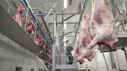 Ауыл шаруашылығы жануарларын союға жаңа талаптар енгізілді