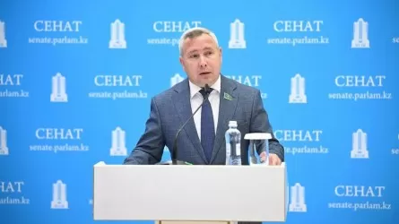 Халық блогерлердің агрессивті жарнамасынан зардап шегіп отыр &ndash; сенатор 