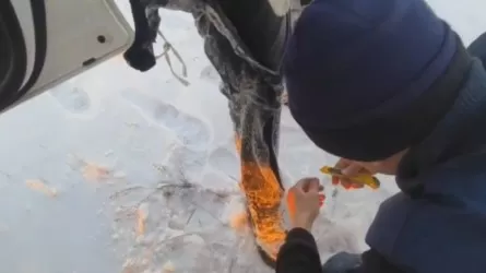 Вырезали из ледяного панциря: в Экибастузе чудом спасли провалившихся в полынью рыбаков