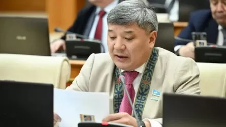 Жанарбек Ашимжан: Народный совет &ndash; это не просто консультативная площадка