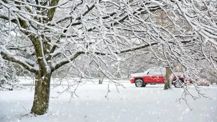 Зимняя трасса: советы опытных водителей бензовозов 