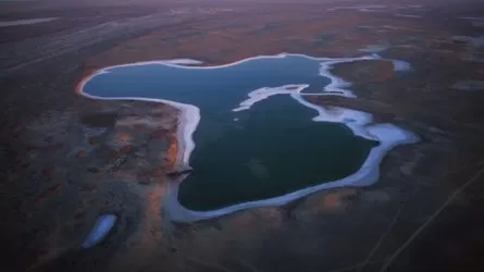 Солтүстік Арал теңізінің деңгейі 44 метрге дейін көтерілетін болады